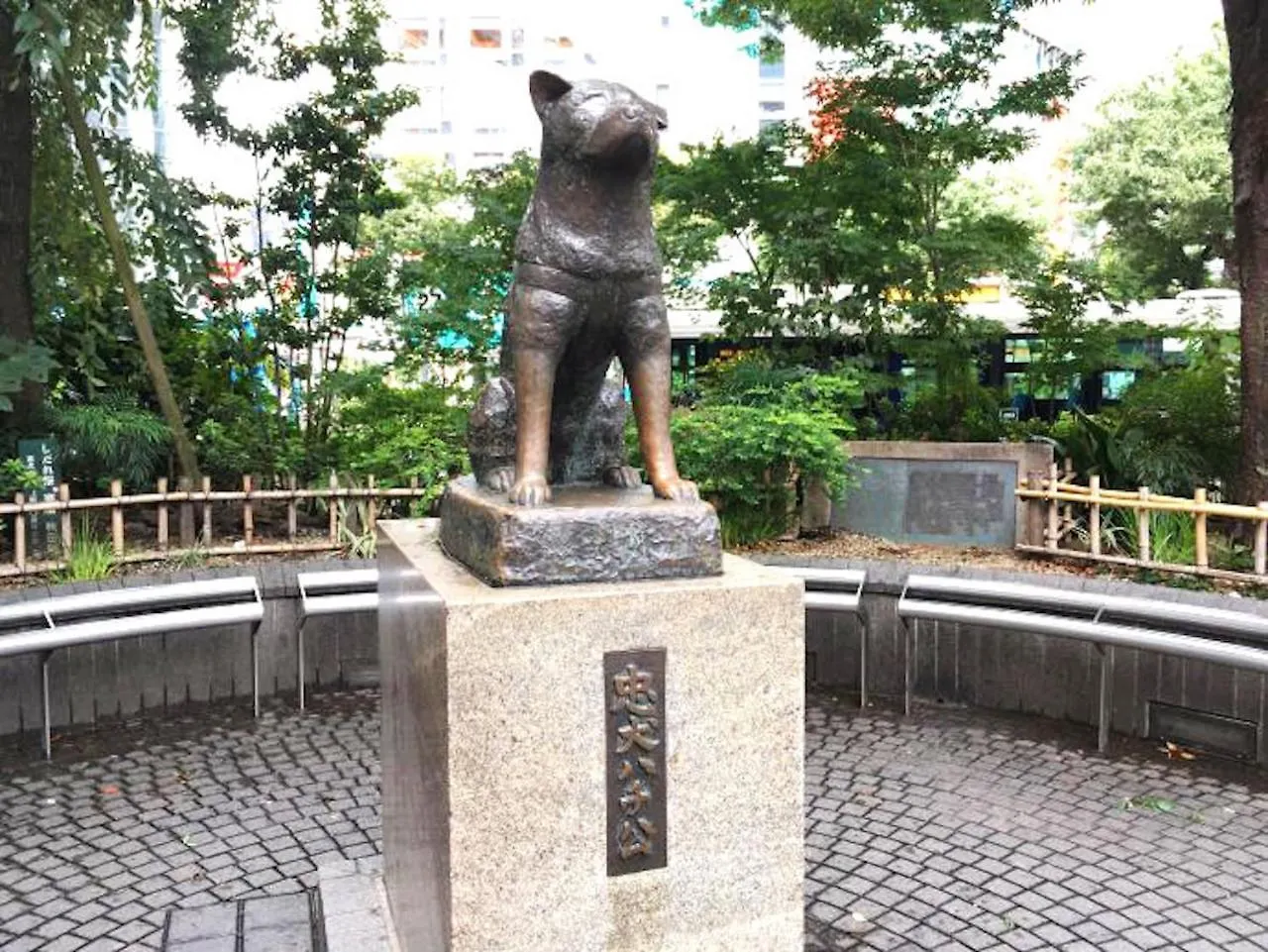아파트 Shibuya Stay Tokyo B102