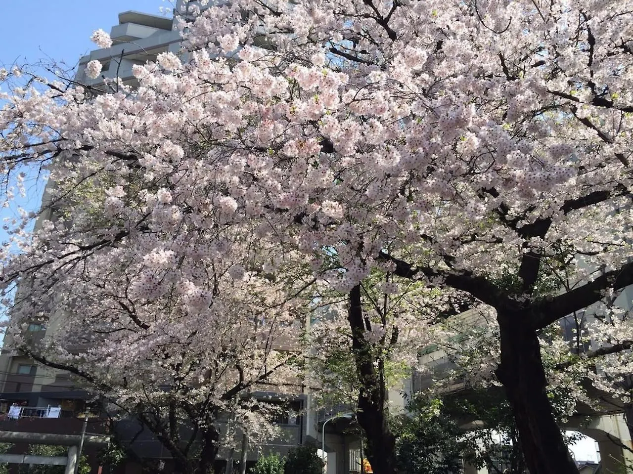 Shibuya Stay Tokyo B102 아파트